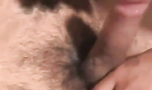 Muscular Bear Strokes Off & Shoots a Load