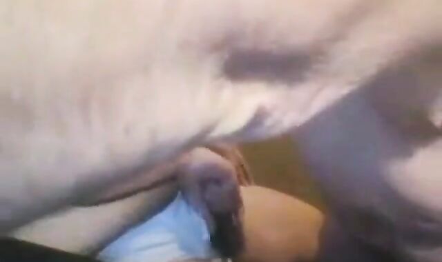 Bears and Daddies: Chunky Buddies