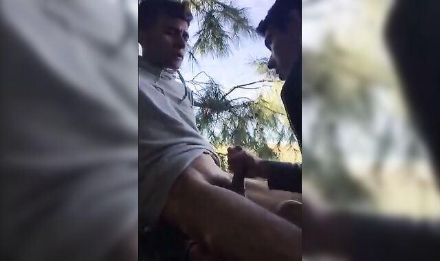 Twinks Outdoor Handjob Adventure