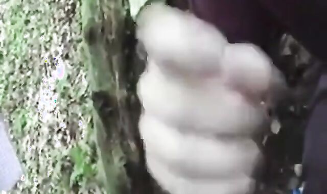 Bear Cub Blows a Load in His Mouth and Swallows 2