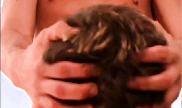 Kyle Krystoff and Phillipe Siren Part 2