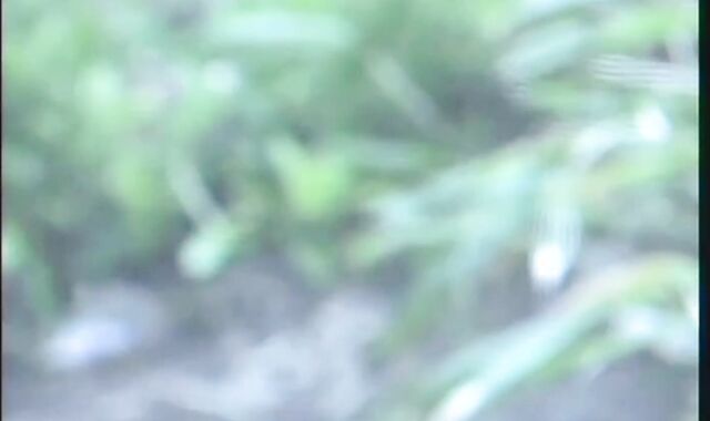 Michael Lucas and Rob Ramos