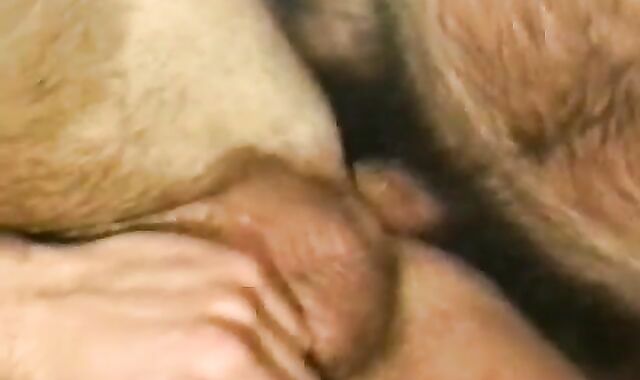 Romp by the fireplace