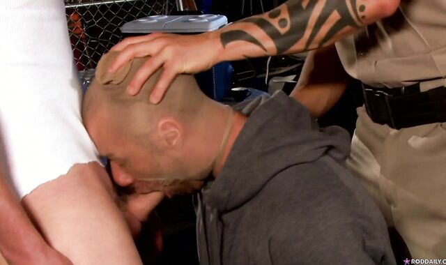 Cock Daily:voyeur Stark v Daily,voyeur Cops Take the Criminal to Court