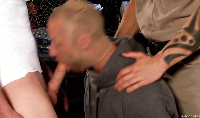 Cock Daily:voyeur Stark v Daily,voyeur Cops Take the Criminal to Court