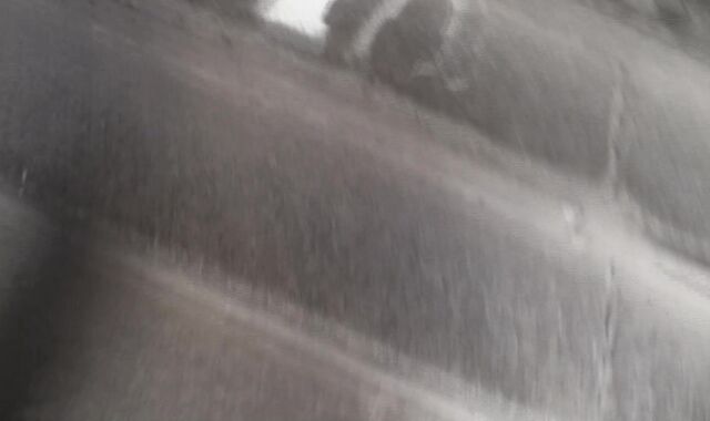 Debt Dandy:spycam Debt-Paying Sausages and Sucky Graciousness