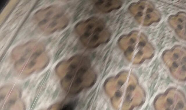 Debt Dandy:spycam Debt-Paying Sausages and Sucky Graciousness