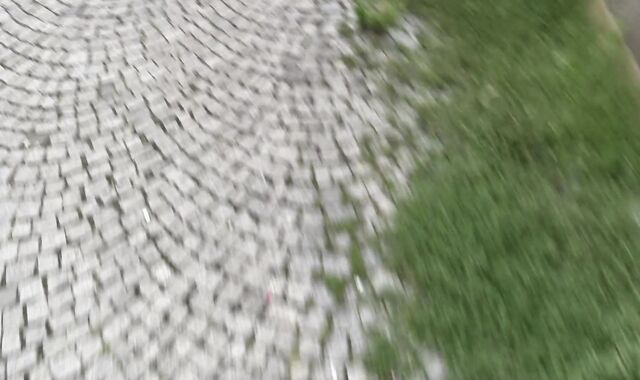 Debt Dandy:spycam Wounded Whoremaster's Welfare Woes