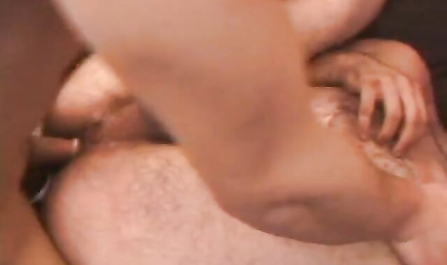 Deifant Top To Bottom