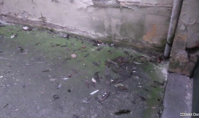 Debt Dandy:spycam A Pricey Affair for Art's Sake