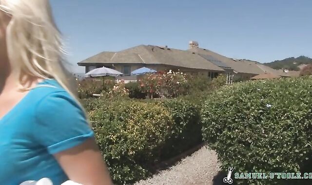 Samuel O'Toole:spycam Summer Rail with Road Head