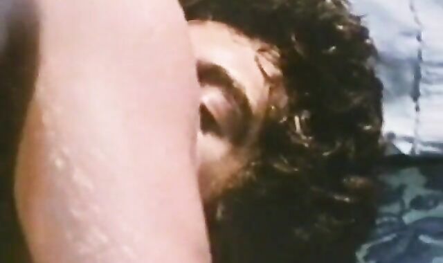 Presidential absorb and plough