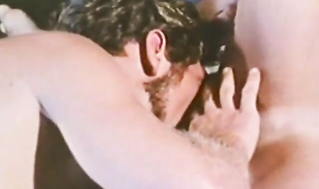 Presidential absorb and plough