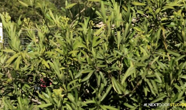 Next Door Friends:spycam Tongue on Johnny's Butt