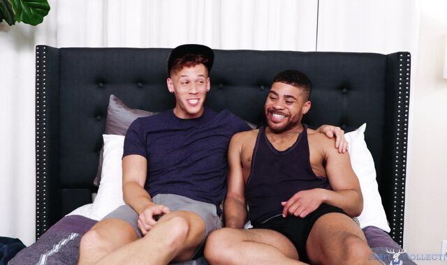 Stag Shared:voyeur A Muscled Union of Colors