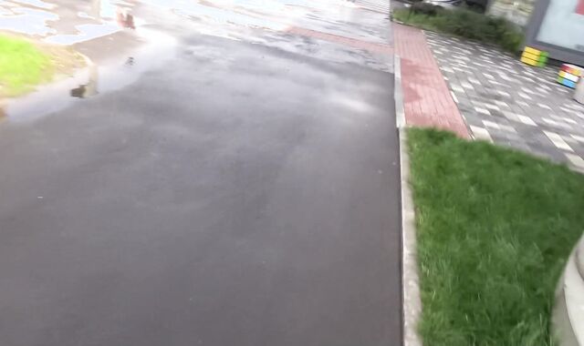 Debt Dandy:voyeur Roulette Crimson or Ebony:voyeur Currency for Me to Get Rock hard