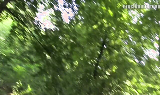 Czech Hunter:spycam From Sweat and Pressure to Rapture in the Park