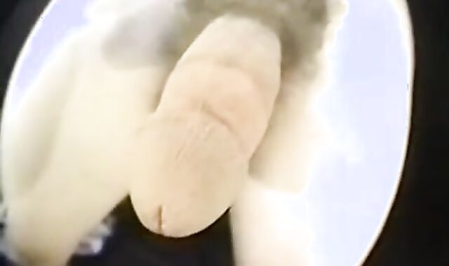 kjjh