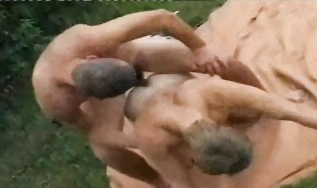 2013.03.01.spycam 12-19-45