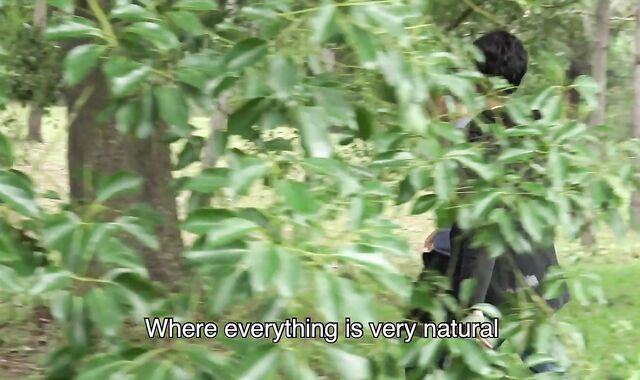 Brazilian Leche:spycam Pumping Wet:spycam A Tale Of 2 Fellows