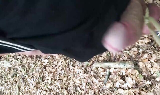 fetching hand-job In Parked Truck