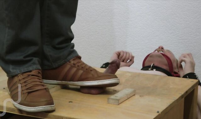 Eggs Stomping Makes marvelous Pancakes voyeur(nuts Stomped In Cage,spycam also Postcum)