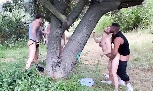 boink Spot In Countryside