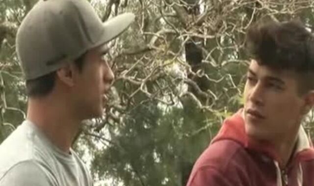 Lohan The Grizzly receives A Punch On enthralling Fox