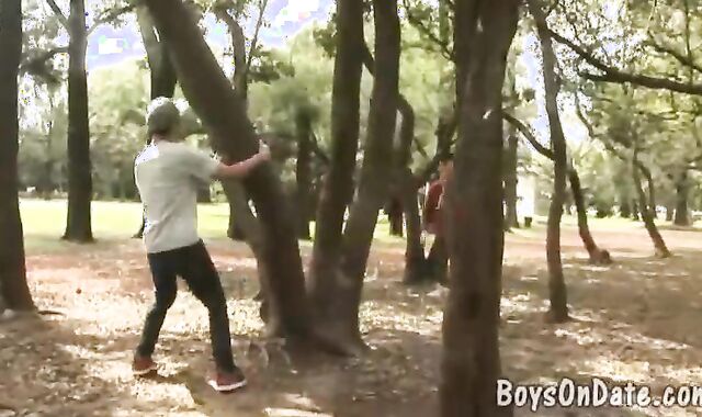 Lohan The Grizzly receives A Punch On enthralling Fox