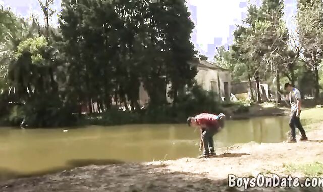 Lohan The Grizzly receives A Punch On enthralling Fox