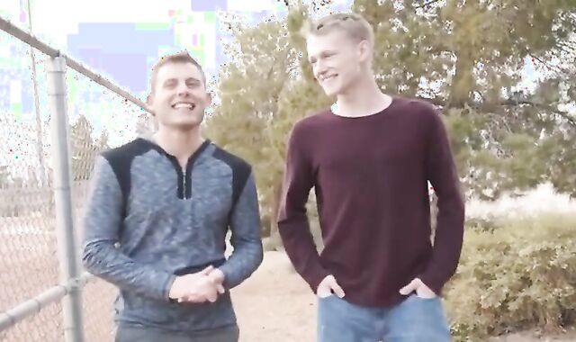 blondie college-aged age teenage bonks stud