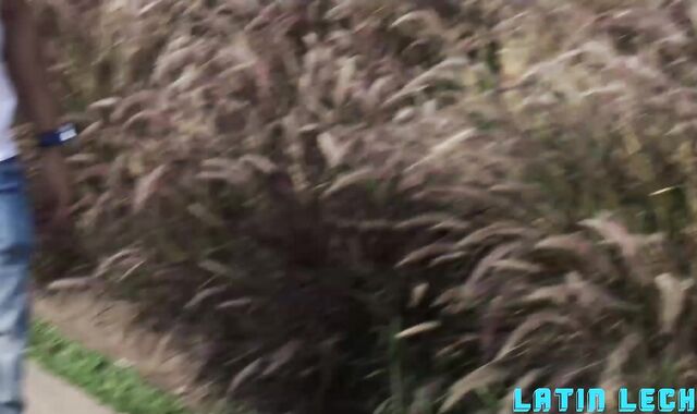 Mexican Leche:spycam Uncircumcised Enjoyments Downtown