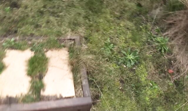 Debt Dandy:spycam An Incomplete Project and Its Explicit Resolution