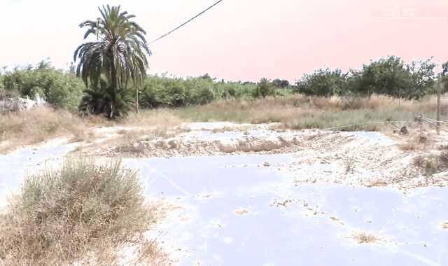 Fellows Would Be Shamefaced,spycam But He's So Proud