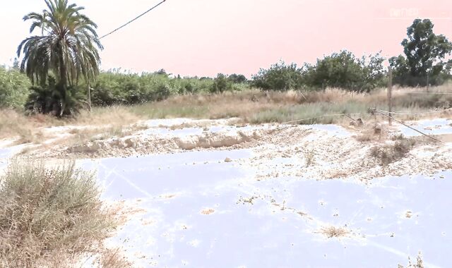 Fellows Would Be Shamefaced,spycam But He's So Proud