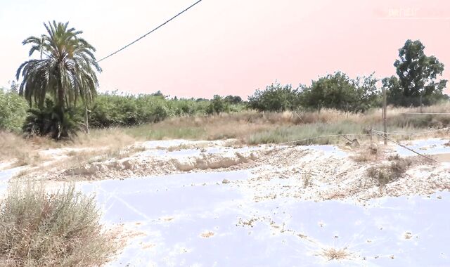 Fellows Would Be Shamefaced,spycam But He's So Proud