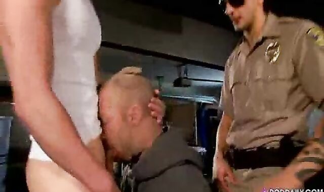 trunk Daily voyeur-voyeur The lengthy ten-Pounder Of The Law