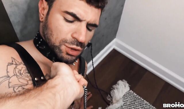 Studs.com voyeur-spycam Muscly tatted yankee youthfull youngster tough gasping