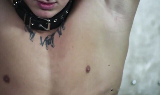 villein For Sale Vasily Part I