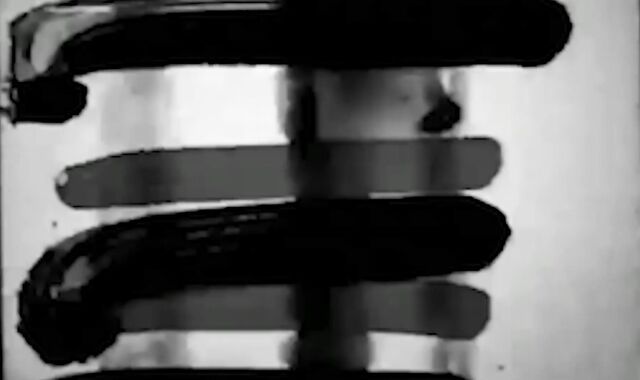 scoutboys:spycam Unloading on the Woods Floor