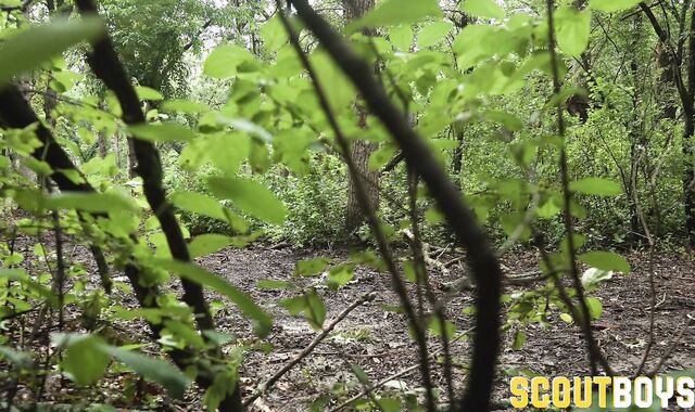 scoutboys:spycam Unloading on the Woods Floor
