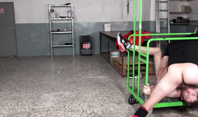 Clyde's Obedient Enlivenment