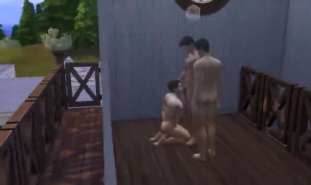 Sims four sir Submits