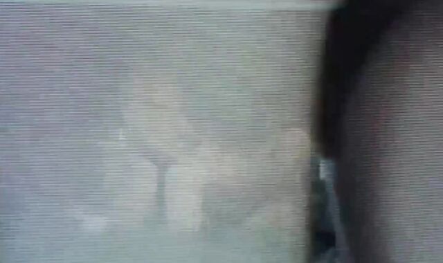 Wilson Vasquez and Adam Young