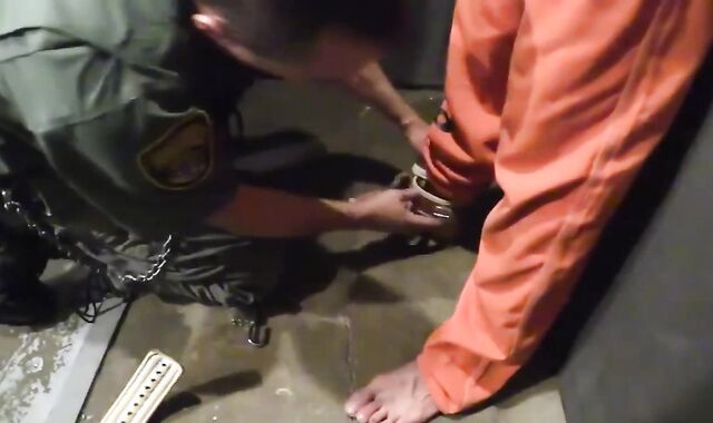 Gets a hum out of BONDAGE & DISCIPLINE