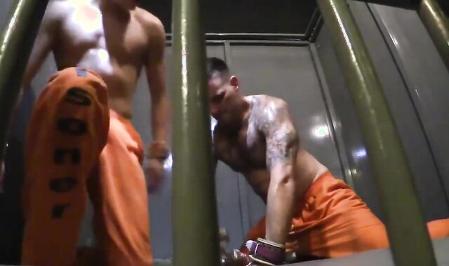 Gets a hum out of BONDAGE & DISCIPLINE