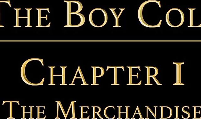 boyforsale:voyeur Sleek Flesh Jockstraps