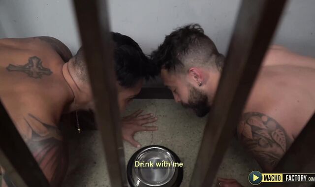 MachoFactory.com:voyeur Dominatrix great shag fuck tape