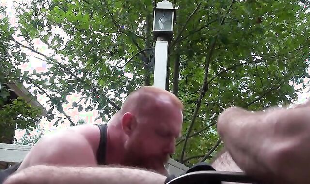 Ginger villein Deep-throats Grizzly