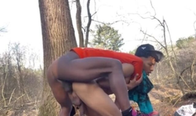 The Woods Of delight